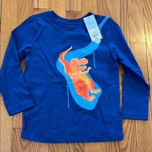 Cat & Jack Dino Longsleeve Tee Sz 5T